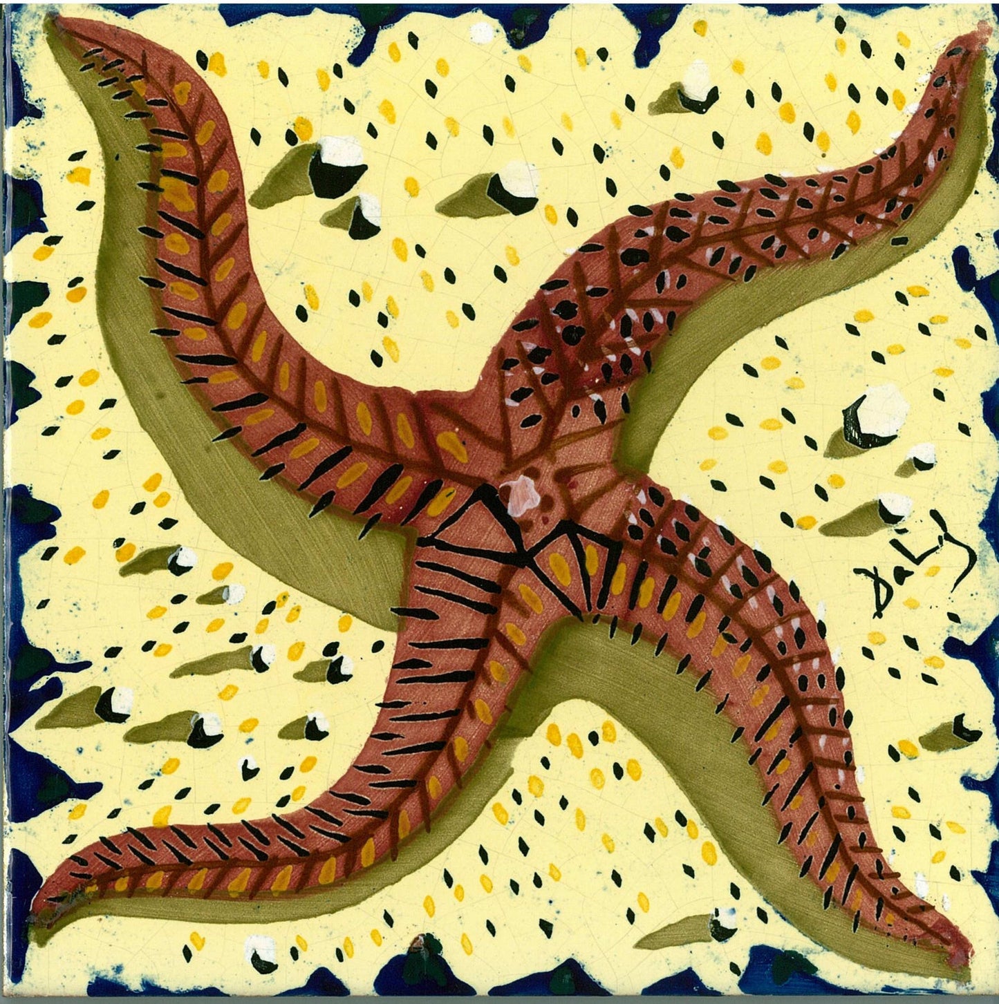 【TI115】ダリタイル(ヒトデ)