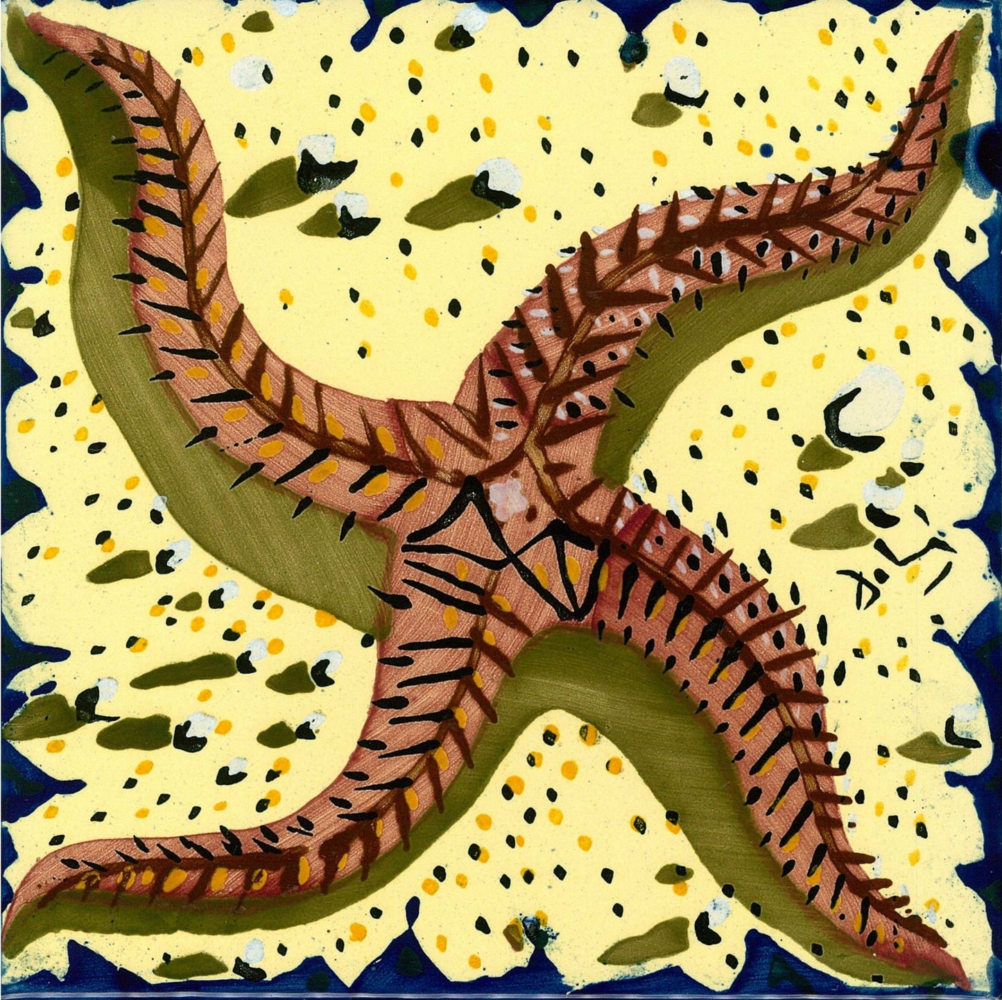 【TI141】ダリタイル(ヒトデ)