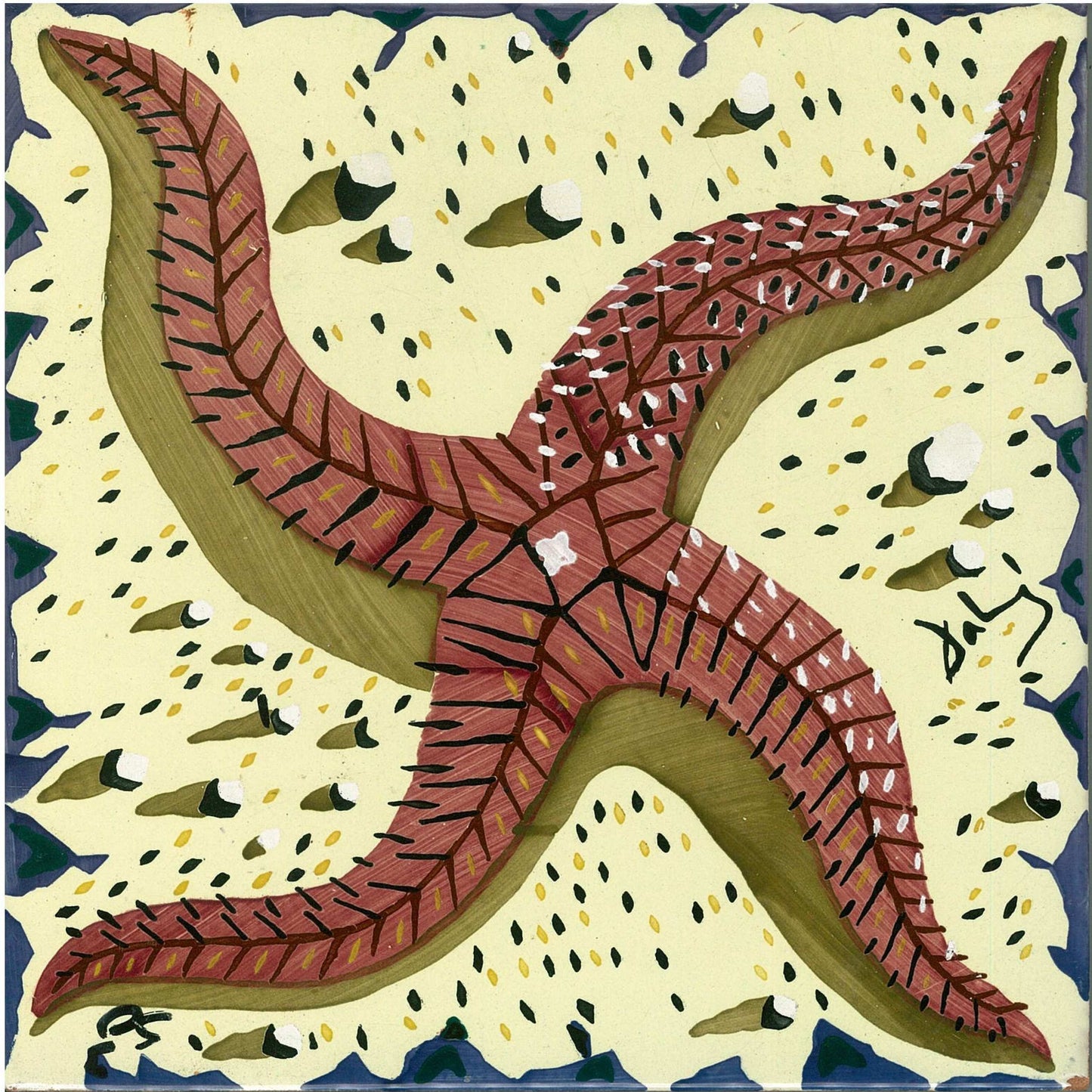 【TI148】ダリタイル(ヒトデ)